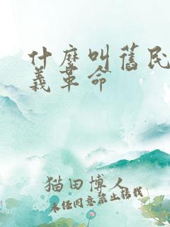 什么叫旧民主主义革命