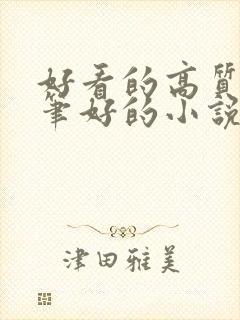 好看的高质量文笔好的小说