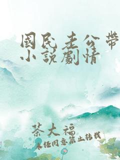 国民老公带回家小说剧情