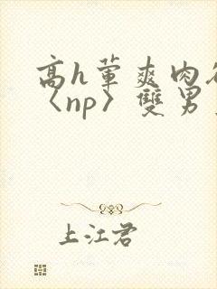 高h荤爽肉欲文〈np〉双男主