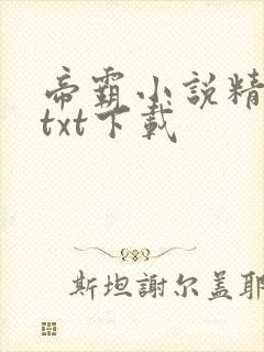 帝霸小说精校版txt下载