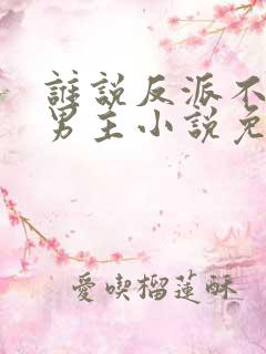 谁说反派不能当男主小说免费