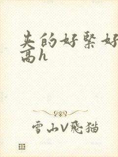 夹的好紧好舒服高h