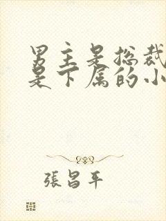 男主是总裁女主是下属的小说