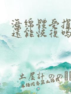 海绵体受损严重还能恢复吗