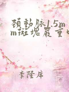 颈动脉1.5mm斑块严重吗