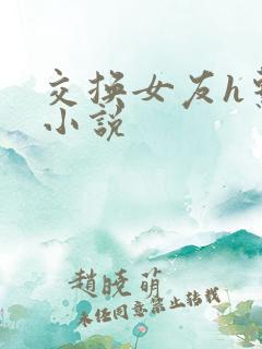 交换女友h系列小说