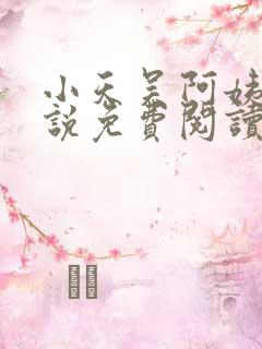 小天吴阿姨的小说免费阅读无弹窗
