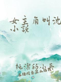 女主角叫沈颜的小说