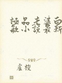 极品老婆白芷陈敏小说最新章节