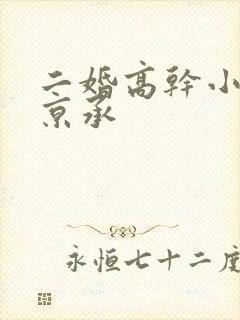 二婚高干小说蒋京承