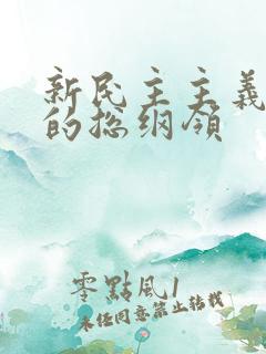 新民主主义革命的总纲领