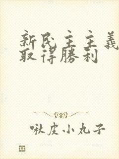 新民主主义革命取得胜利