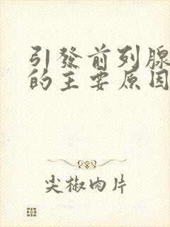 引发前列腺肥大的主要原因是什么?