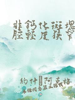 非钙化斑块伴管腔轻度狭窄