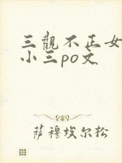 三观不正女主是小三po文