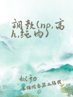 调教(np,高h,纯肉)