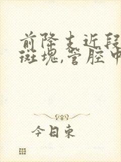 前降支近段钙化斑块,管腔中度狭窄