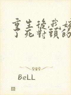 重生后,我嫁给了死对头的九叔