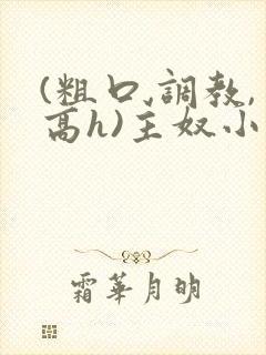 (粗口,调教,高h)主奴小说