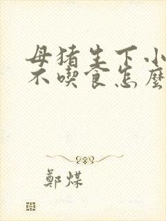 母猪生下小猪后不吃食怎么办