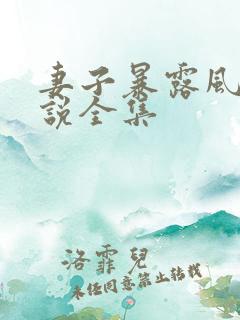 妻子暴露风波小说全集