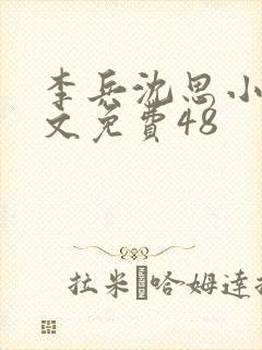 李兵沈思小说全文免费48