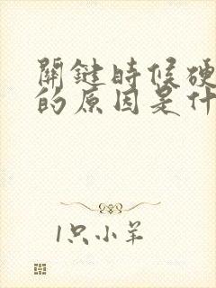 关键时候硬不起的原因是什么