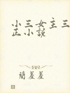 小三女主三观不正小说