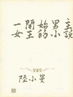 一开始男主想杀女主的小说