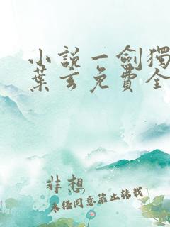 小说一剑独尊·叶玄免费全文阅读一