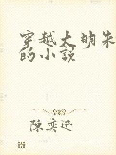 穿越大明朱祁钰的小说