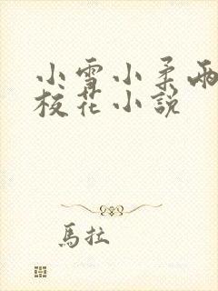 小雪小柔两个大校花小说