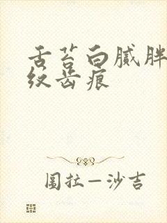 舌苔白腻胖大裂纹齿痕