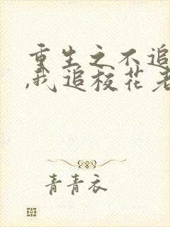 重生之不追校花,我追校花老妈