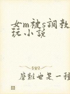 女m被s调教虐玩小说
