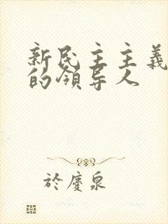 新民主主义革命的领导人