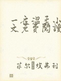 一夜温柔小可全文免费阅读
