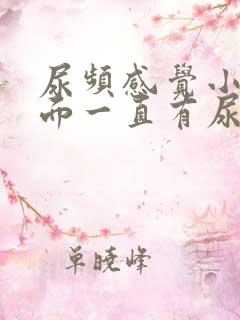 尿频感觉小腹下面一直有尿意男性吃什么药