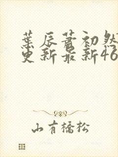 叶辰萧初然刚刚更新最新4639章