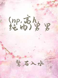 (np,高h,纯肉)男男