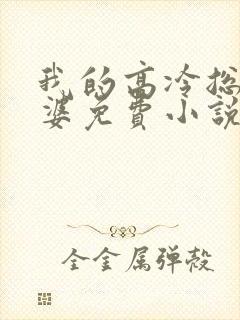 我的高冷总裁老婆免费小说