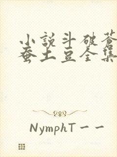 小说斗破苍穹天蚕土豆全集下载