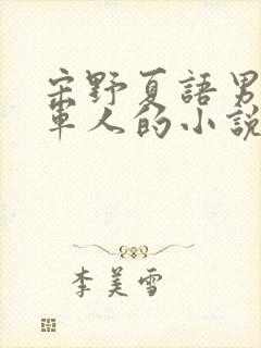 宋野夏语男主是军人的小说