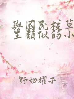 与国民校草是女生类似的小说