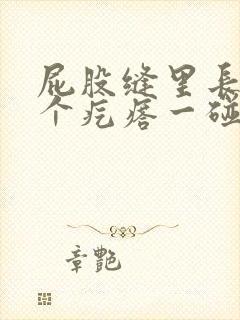 屁股缝里长了一个疙瘩一碰就疼