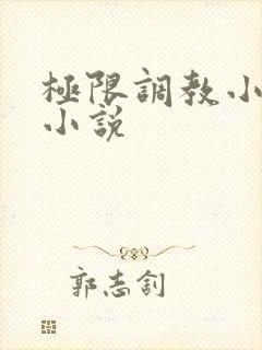 极限调教小女友小说
