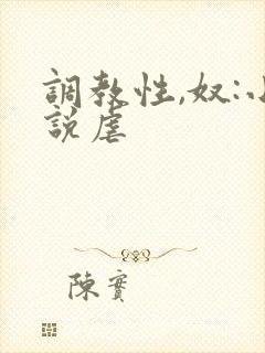 调教性,奴:小说虐