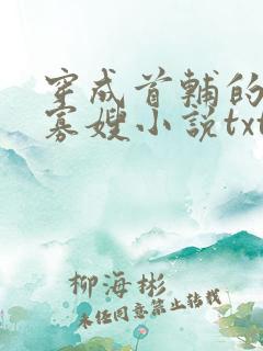 穿成首辅的恶毒寡嫂小说txt