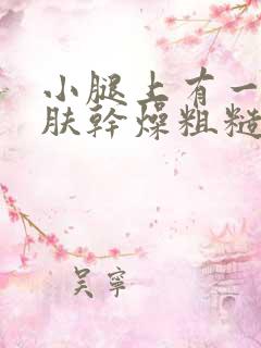 小腿上有一块皮肤干燥粗糙